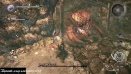 کشتن Great Centipede در بازی NiOh کمک Co op