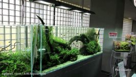 نمایش گالری NATURE AQUARIUM ژاپن