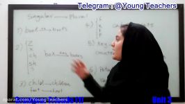 Grammar Friends 1 unit 3 اسامی مفردوجمع گرامرفرندز1