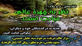 اینکه پیامبر اعظم گفت دنیا مزرعه آخرت است یعنی چه؟