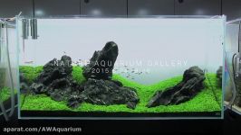 نمایش گالری NATURE AQUARIUM ژاپن قسمت 8