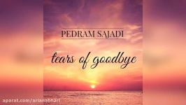 Pedram Sajadi – Tears Of Goodbye