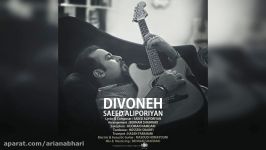 Saeed Aliporiyan – Divoneh