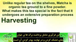 فواید پودر چای سبز ماچا