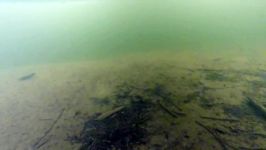 ice fishing underwater GoPro