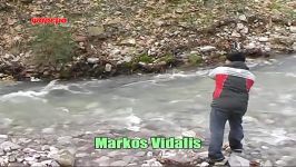 Rainbow trout spinning in shallow river Greece