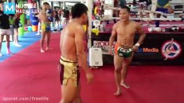 MUAY THAI MONSTER  Saenchai  Muscle Madness