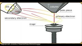 میکروسکوپ الکترونی روبشی چگونه کار می کند