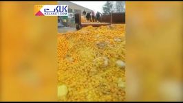 كارخانه عجیب تولید آب پرتقال طبیعی در مشهد