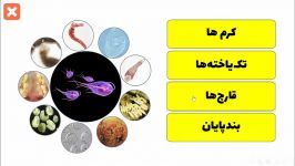 جمع بندی تست محور انگل شناسی علوم پایه