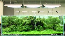 نمایش گالری NATURE AQUARIUM ژاپن