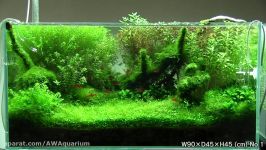 نمایش گالری NATURE AQUARIUM ژاپن