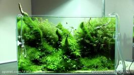 نمایش گالری NATURE AQUARIUM ژاپن