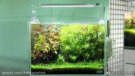 نمایش گالری NATURE AQUARIUM ژاپن