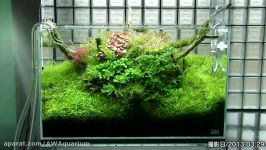 نمایش گالری NATURE AQUARIUM ژاپن