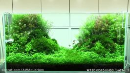 نمایش گالری NATURE AQUARIUM ژاپن