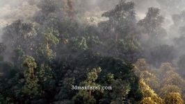 Forest 3ds Max آموزش ساخت جنگل درخت سبک تری دی مکس ویری