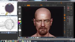 دانلود آموزش Gumroad Anatomy Sculpting and ZBrush BP...