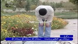 آموزش نماز ظهر  Noon Prayer Training