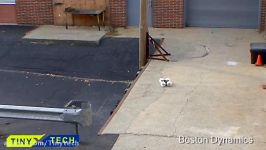 Sand Flea Jumping Robot