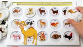 حیوانات آموزشی برای کودکان ، آموزش نام حیوانات به فارسی برای کودکان
