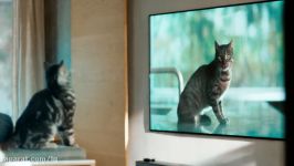 روش جدید زندگی LG SIGNATURE OLED TV W