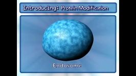 گلژی ویرایش پروتئین فرآیندهای سلول9ProteinModification Golgi