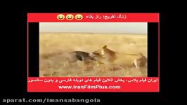 طنز خنده دار راز بقای گوآته مالا