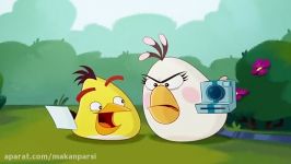 پرندگان خشمگین فصل سوم قسمت Angry Birds Toons S3 E24