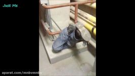 Stupid People At Work Funny Fails
