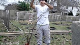 آموزش باغبانی صابر، طریقه نگه داری درخت گوجه سبز