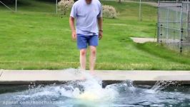 The Only Man In The World Who Can Swim With A Polar Bear Grizzly Man