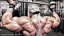 Top 5 Biggest Bodybuilders Of All Time