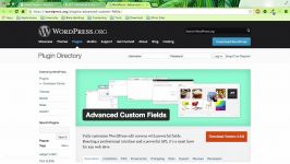 ۲۳ پلاگین Advanced Custom Fields دانلود نصب