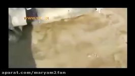 جنایت هولناک مخالفان در حلب + فیلم 18+.flv