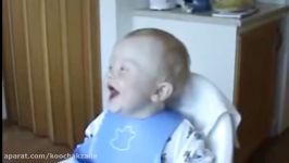 Best Babies Laughing Video Compilation 2012