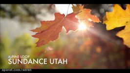 Sundance in 4k Ultra HD