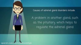 Adrenal Gland Disorders  Causes Symptoms Treatments