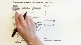 Congenital Adrenal Hyperplasia CAH  1 of 2