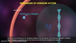 MECHANISM OF HORMONE ACTION