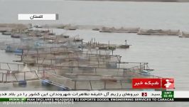 Iran Golestan province Fish farming pool پرورش ماهی در استخر ایران