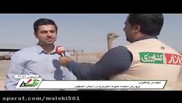 پرورش شترمرغ در اصفهان Ostrich farming in Isfahan النعام فی أصفهان