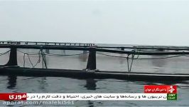 Iran Persian Gulf Fish farming cage قفس پرورش ماهی خلیج فارس ایران