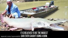 10 Scariest Creatures Caught While Fishing