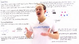 Enzyme Assay Enzyme Activity and Specific Activity