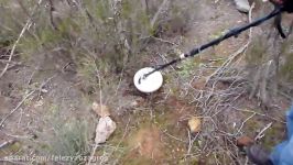 Metal Detecting in Australia  some gold finds with the GPX 5000