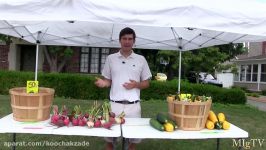 How to Make Money With Your Garden  Produce Stand vs. Farmers Market