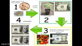Home Business Planting Seeds Make Money With Plants How To Make Money With Plants