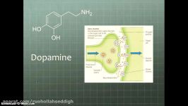 Amphetamines