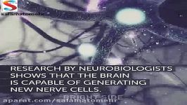 نوروژنسیس  عصب زایی  رشد سلول های عصبی